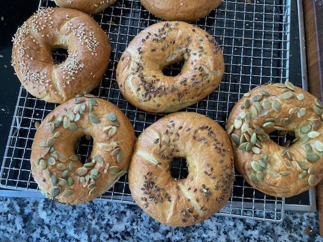 bagel-new-york.jpeg