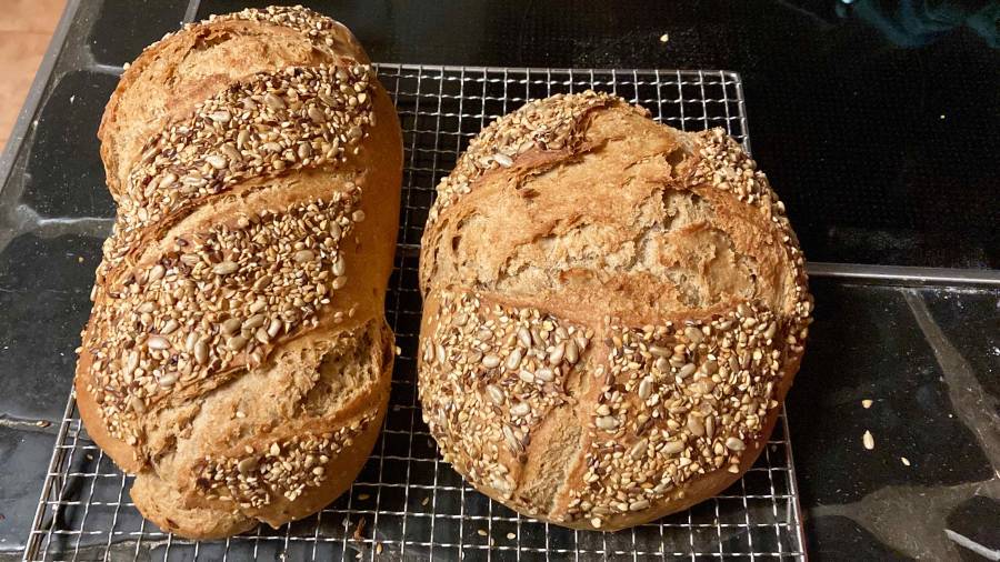 fuenfkorn-brot.jpg fuenfkorn-brot.jpg
