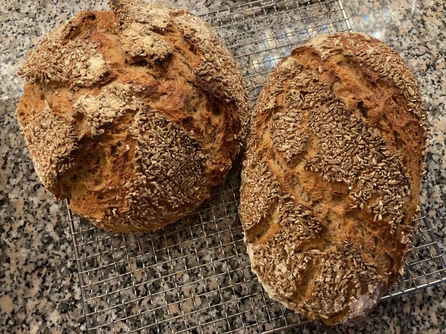 mischbrot-couton.jpeg mischbrot-couton.jpeg