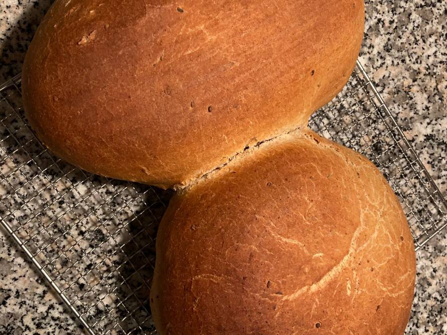 mischbrot.jpg mischbrot.jpg