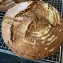 roggen-sauerteig-brot-rund.jpg