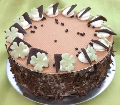 schoko-minz-torte.jpg